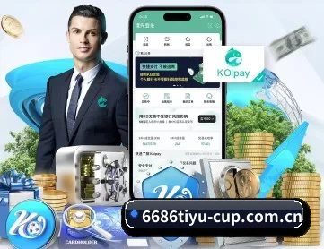 6686入口导航 APP 深度功能