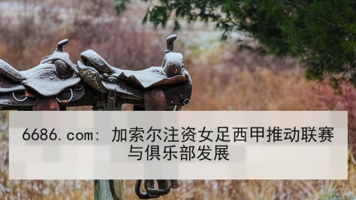 6686.com: 加索尔注资女足西甲推动联赛与俱乐部发展 6686.com: 加索尔注资女足西甲推动联赛与俱乐部发展